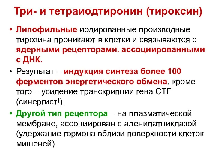 Три- и тетраиодтиронин (тироксин) Липофильные иодированные производные тирозина проникают в клетки