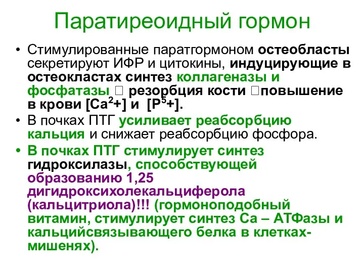 Паратиреоидный гормон Стимулированные паратгормоном остеобласты секретируют ИФР и цитокины, индуцирующие в