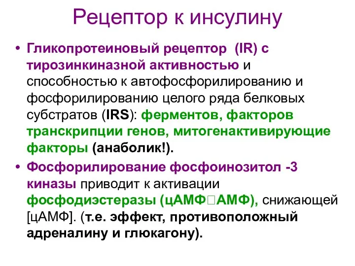 Рецептор к инсулину Гликопротеиновый рецептор (IR) с тирозинкиназной активностью и способностью