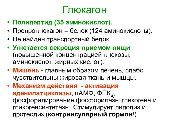 Глюкагон Полипептид (35 аминокислот). Препроглюкагон – белок (124 аминокислоты). Не найден