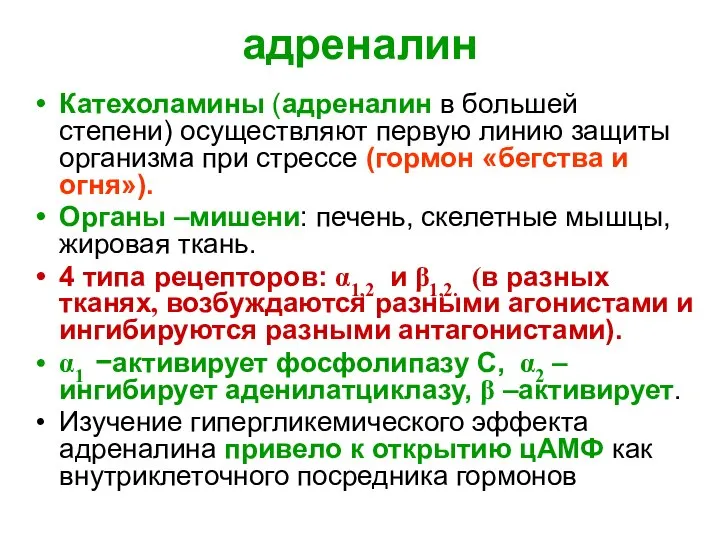 адреналин Катехоламины (адреналин в большей степени) осуществляют первую линию защиты организма