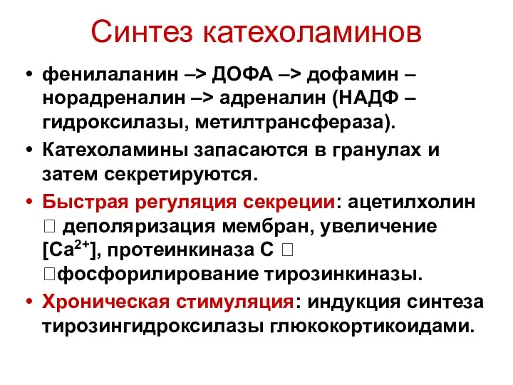 Синтез катехоламинов фенилаланин –> ДОФА –> дофамин – норадреналин –> адреналин