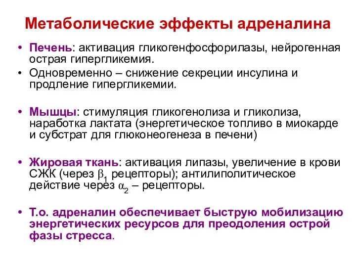 Метаболические эффекты адреналина Печень: активация гликогенфосфорилазы, нейрогенная острая гипергликемия. Одновременно –