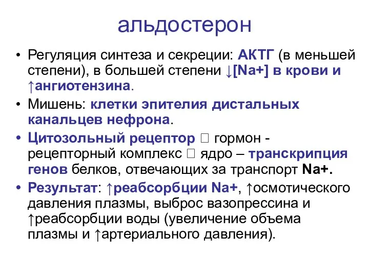 альдостерон Регуляция синтеза и секреции: АКТГ (в меньшей степени), в большей