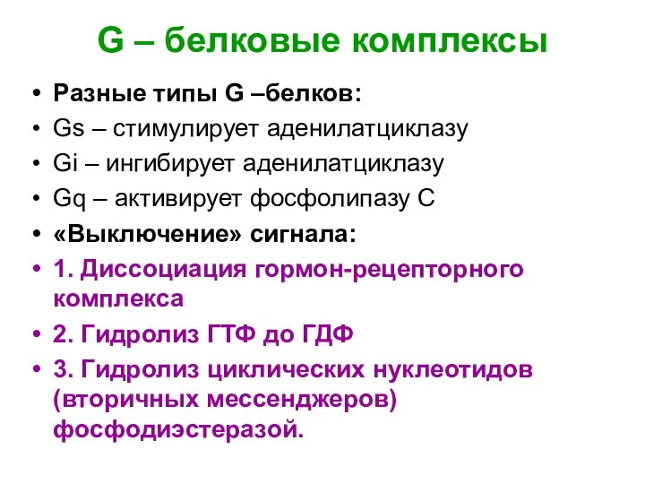 G – белковые комплексы Разные типы G –белков: Gs – стимулирует