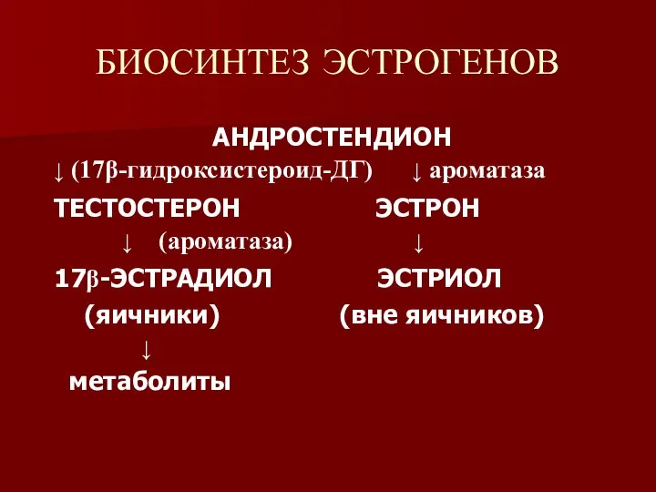 БИОСИНТЕЗ ЭСТРОГЕНОВ АНДРОСТЕНДИОН ↓ (17β-гидроксистероид-ДГ) ↓ ароматаза ТЕСТОСТЕРОН ЭСТРОН ↓ (ароматаза)