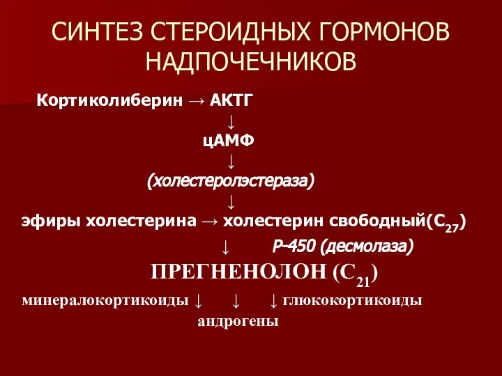 СИНТЕЗ СТЕРОИДНЫХ ГОРМОНОВ НАДПОЧЕЧНИКОВ Кортиколиберин → АКТГ ↓ цАМФ ↓ (холестеролэстераза)