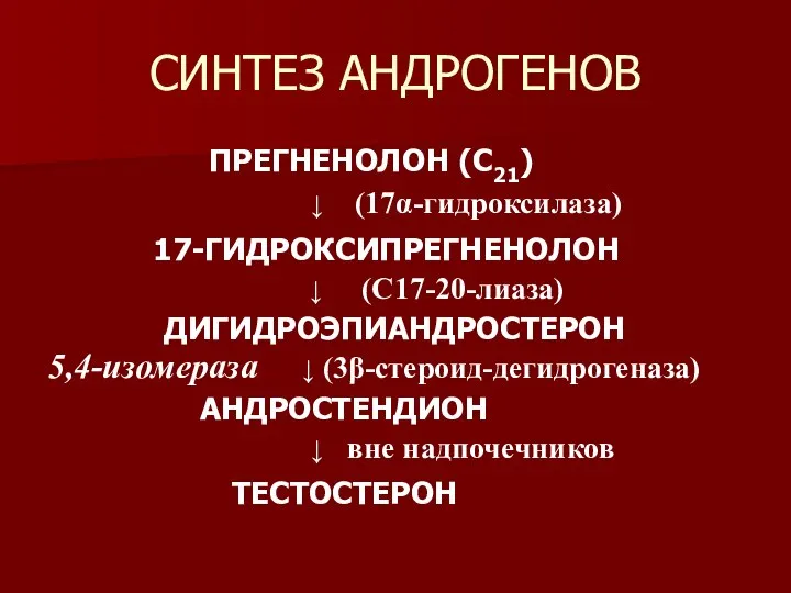 СИНТЕЗ АНДРОГЕНОВ ПРЕГНЕНОЛОН (С21) ↓ (17α-гидроксилаза) 17-ГИДРОКСИПРЕГНЕНОЛОН ↓ (С17-20-лиаза) ДИГИДРОЭПИАНДРОСТЕРОН 5,4-изомераза