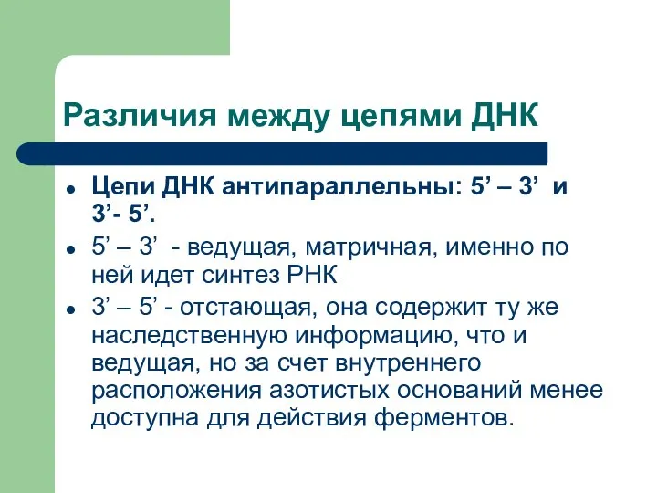 Различия между цепями ДНК Цепи ДНК антипараллельны: 5’ – 3’ и