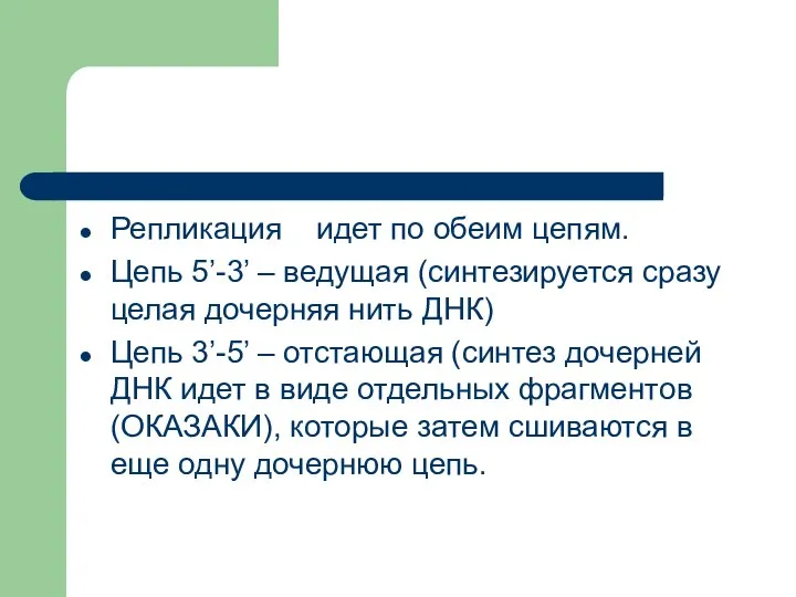 Репликация идет по обеим цепям. Цепь 5’-3’ – ведущая (синтезируется сразу