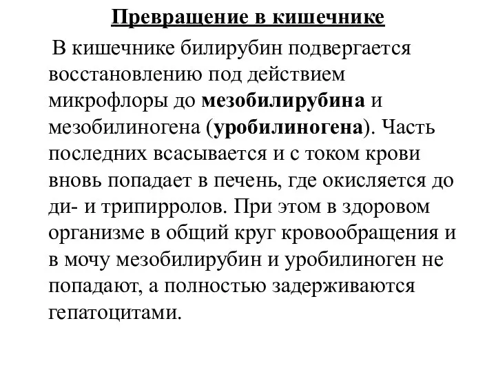 Превращение в кишечнике В кишечнике билирубин подвергается восстановлению под действием микрофлоры