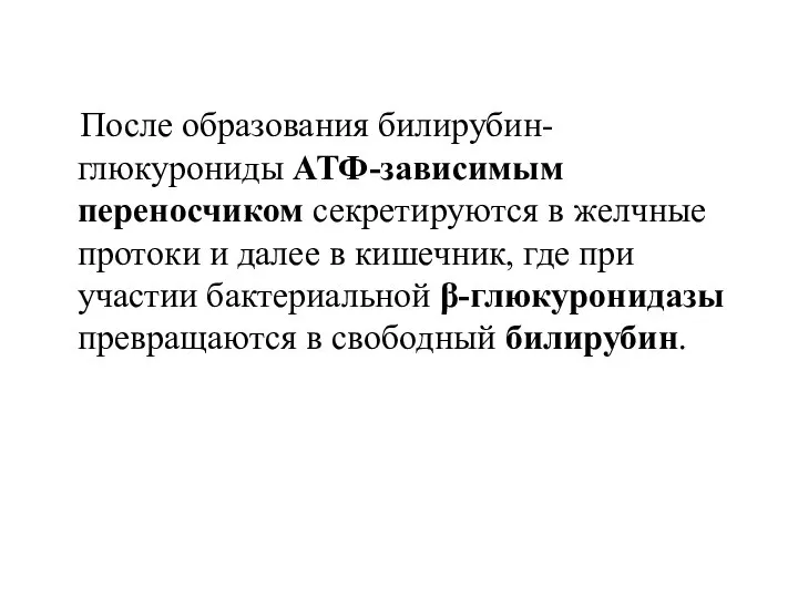 После образования билирубин-глюкурониды АТФ-зависимым переносчиком секретируются в желчные протоки и далее