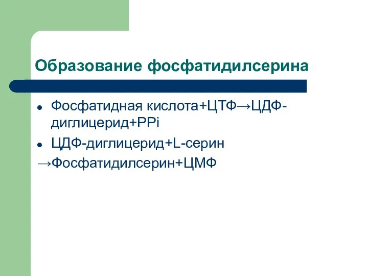 Образование фосфатидилсерина Фосфатидная кислота+ЦТФ→ЦДФ-диглицерид+PPi ЦДФ-диглицерид+L-серин →Фосфатидилсерин+ЦМФ