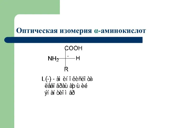 Оптическая изомерия α-аминокислот