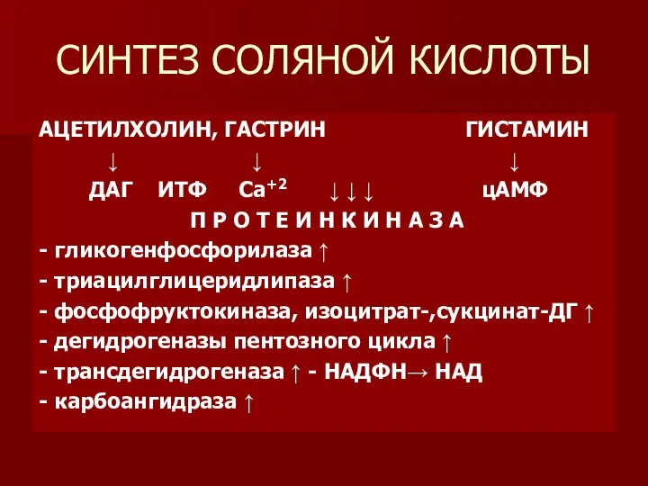 СИНТЕЗ СОЛЯНОЙ КИСЛОТЫ АЦЕТИЛХОЛИН, ГАСТРИН ГИСТАМИН ↓ ↓ ↓ ДАГ ИТФ