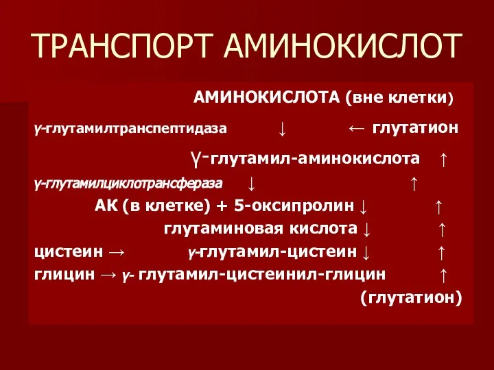 ТРАНСПОРТ АМИНОКИСЛОТ АМИНОКИСЛОТА (вне клетки) γ-глутамилтранспептидаза ↓ ← глутатион γ-глутамил-аминокислота ↑