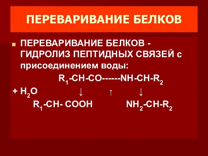 ПЕРЕВАРИВАНИЕ БЕЛКОВ ПЕРЕВАРИВАНИЕ БЕЛКОВ -ГИДРОЛИЗ ПЕПТИДНЫХ СВЯЗЕЙ с присоединением воды: R1-CH-СО------NH-CH-R2