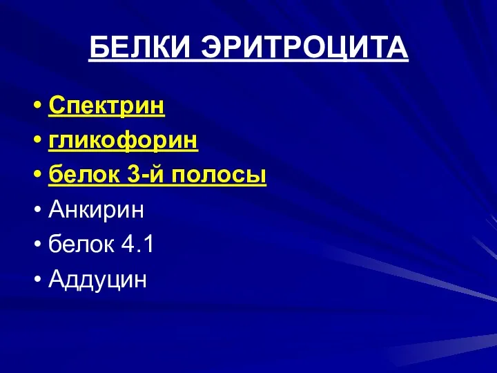 БЕЛКИ ЭРИТРОЦИТА Спектрин гликофорин белок 3-й полосы Анкирин белок 4.1 Аддуцин