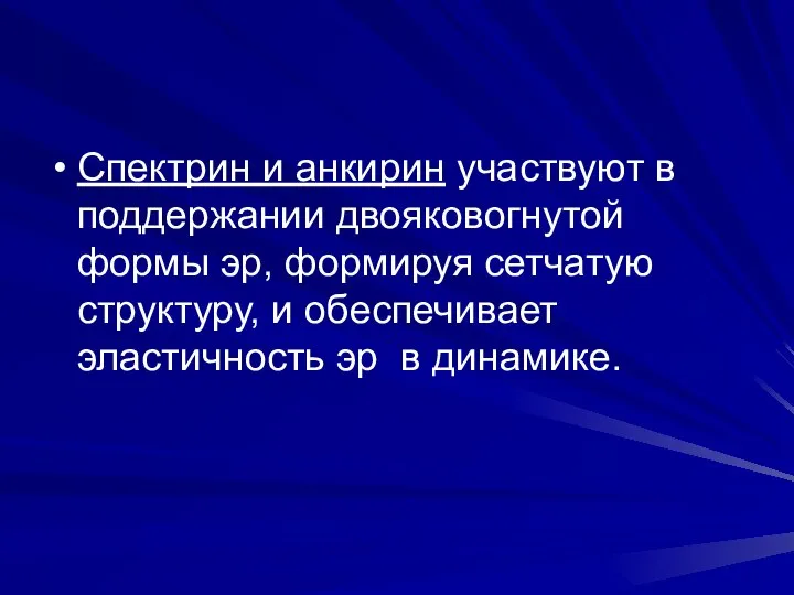 Спектрин и анкирин участвуют в поддержании двояковогнутой формы эр, формируя сетчатую