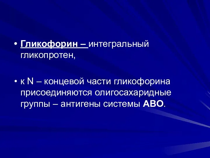 Гликофорин – интегральный гликопротен, к N – концевой части гликофорина присоединяются