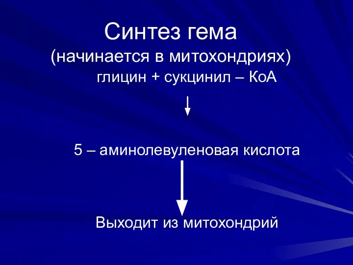 Синтез гема (начинается в митохондриях) глицин + сукцинил – КоА 5