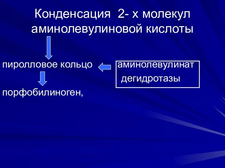 Конденсация 2- х молекул аминолевулиновой кислоты пиролловое кольцо аминолевулинат дегидротазы порфобилиноген,