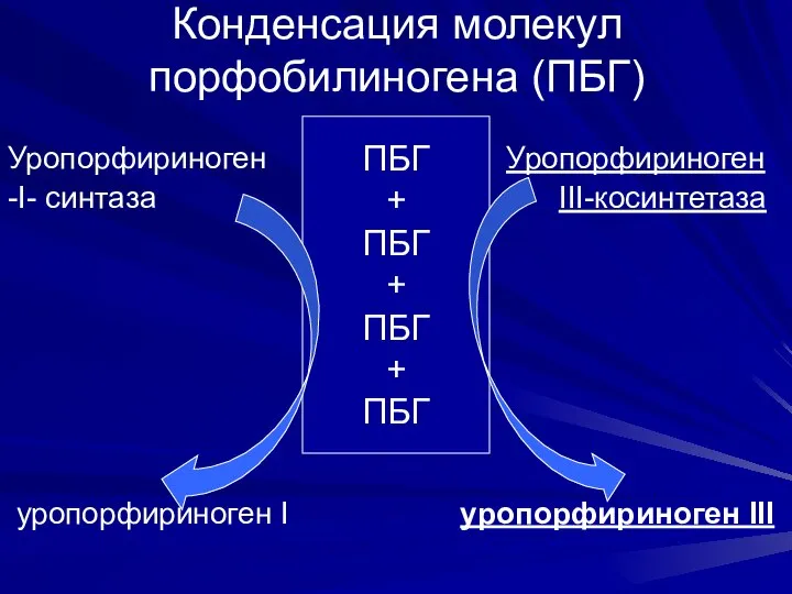 Конденсация молекул порфобилиногена (ПБГ) Уропорфириноген Уропорфириноген -I- синтаза III-косинтетаза уропорфириноген I