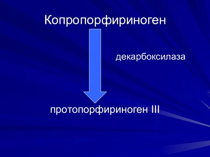 Копропорфириноген декарбоксилаза протопорфириноген III