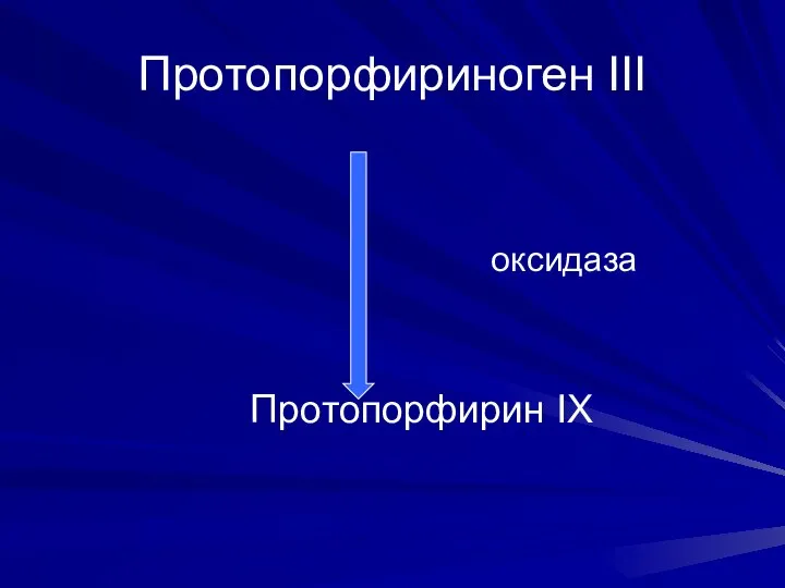 Протопорфириноген III оксидаза Протопорфирин IX