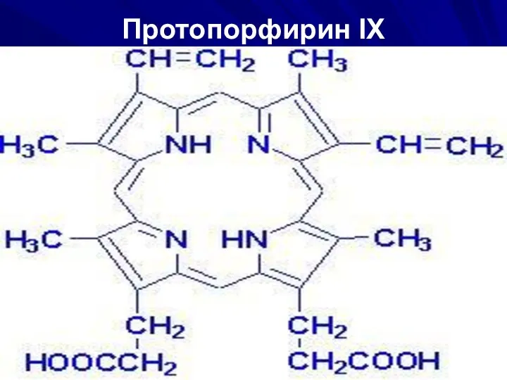 Протопорфирин IX
