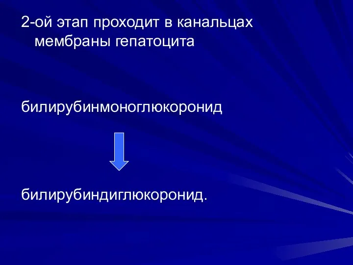 2-ой этап проходит в канальцах мембраны гепатоцита билирубинмоноглюкоронид билирубиндиглюкоронид.