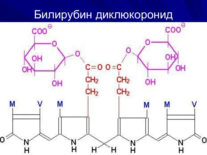 Билирубин диклюкоронид