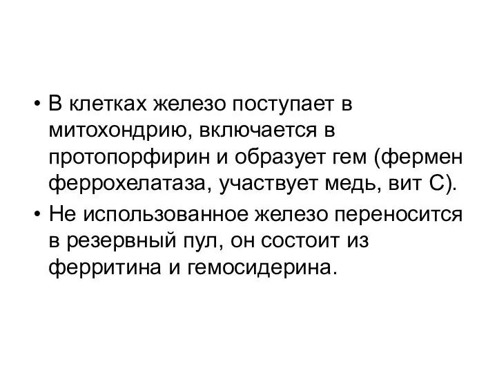 В клетках железо поступает в митохондрию, включается в протопорфирин и образует