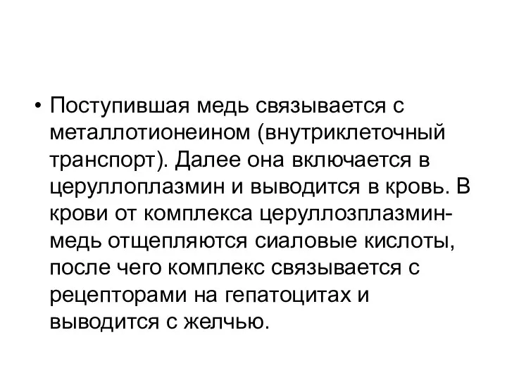 Поступившая медь связывается с металлотионеином (внутриклеточный транспорт). Далее она включается в