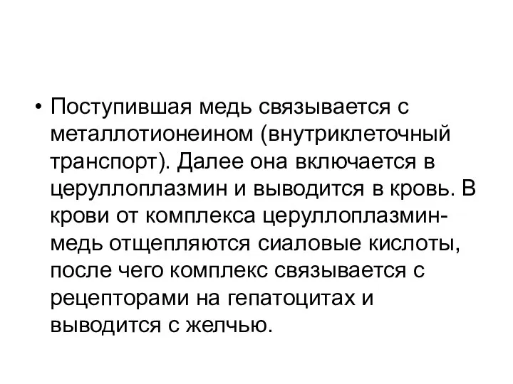 Поступившая медь связывается с металлотионеином (внутриклеточный транспорт). Далее она включается в