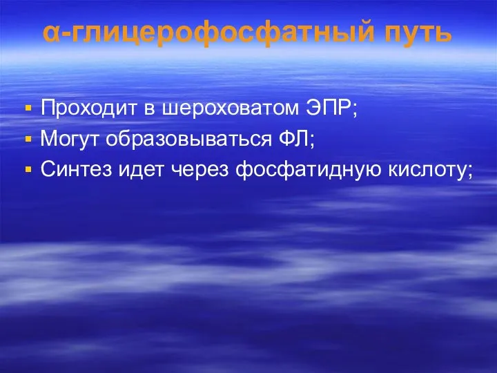 α-глицерофосфатный путь Проходит в шероховатом ЭПР; Могут образовываться ФЛ; Синтез идет через фосфатидную кислоту;