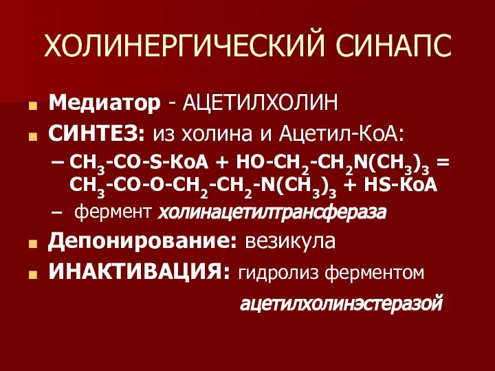 ХОЛИНЕРГИЧЕСКИЙ СИНАПС Медиатор - АЦЕТИЛХОЛИН СИНТЕЗ: из холина и Ацетил-КоА: СН3-СО-S-КоА