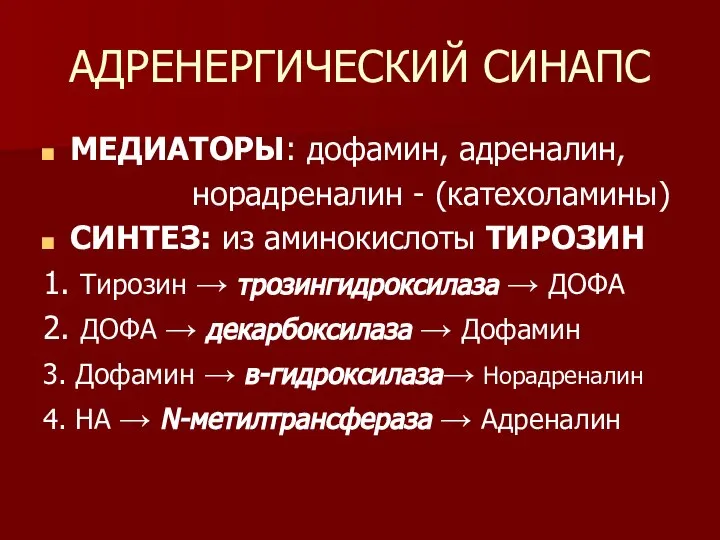 АДРЕНЕРГИЧЕСКИЙ СИНАПС МЕДИАТОРЫ: дофамин, адреналин, норадреналин - (катехоламины) СИНТЕЗ: из аминокислоты