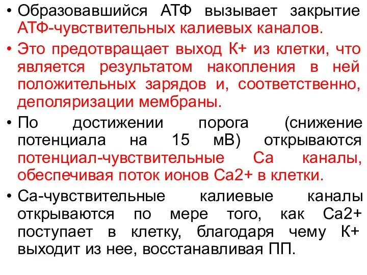 Образовавшийся АТФ вызывает закрытие АТФ-чувствительных калиевых каналов. Это предотвращает выход К+