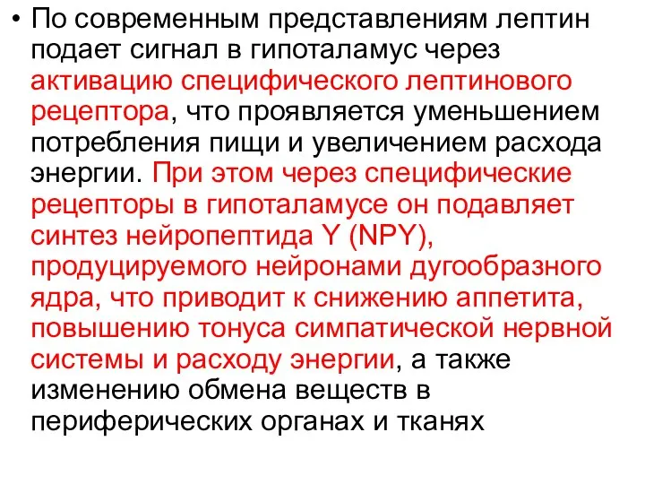 По современным представлениям лептин подает сигнал в гипоталамус через активацию специфического