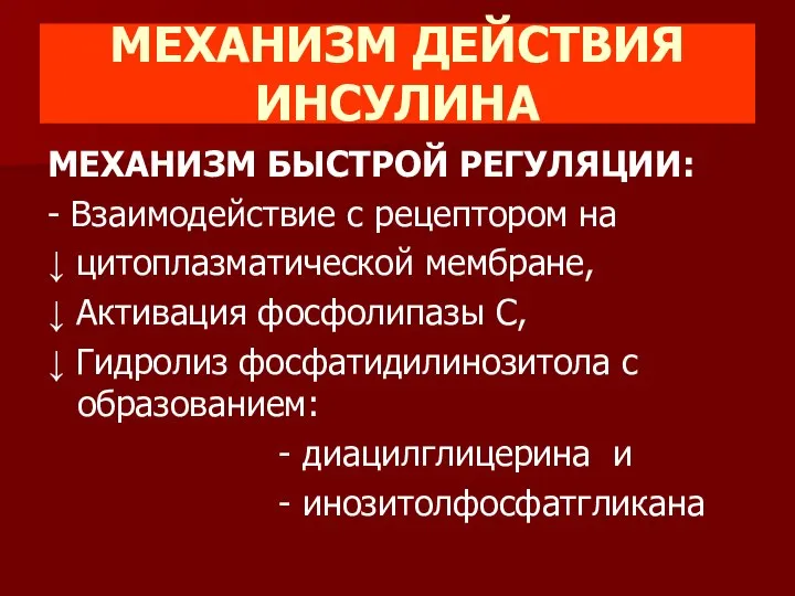 МЕХАНИЗМ ДЕЙСТВИЯ ИНСУЛИНА МЕХАНИЗМ БЫСТРОЙ РЕГУЛЯЦИИ: - Взаимодействие с рецептором на