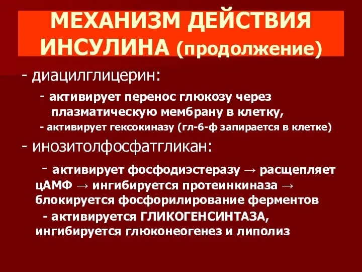 МЕХАНИЗМ ДЕЙСТВИЯ ИНСУЛИНА (продолжение) - диацилглицерин: - активирует перенос глюкозу через