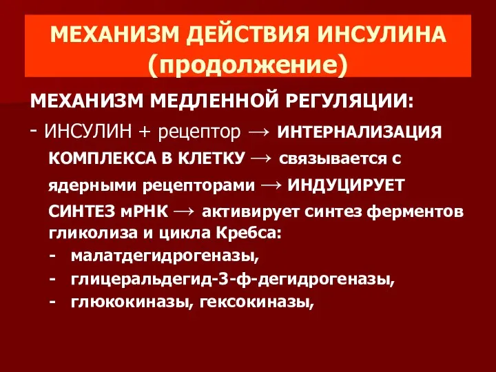 МЕХАНИЗМ ДЕЙСТВИЯ ИНСУЛИНА (продолжение) МЕХАНИЗМ МЕДЛЕННОЙ РЕГУЛЯЦИИ: - ИНСУЛИН + рецептор