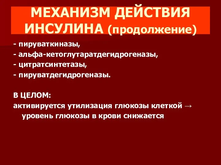 МЕХАНИЗМ ДЕЙСТВИЯ ИНСУЛИНА (продолжение) - пируваткиназы, - альфа-кетоглутаратдегидрогеназы, - цитратсинтетазы, -