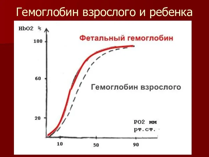 Гемоглобин взрослого и ребенка