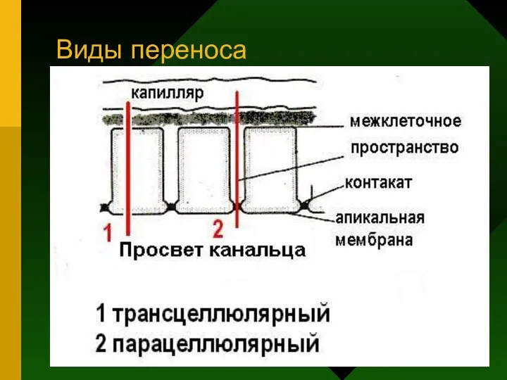 Виды переноса