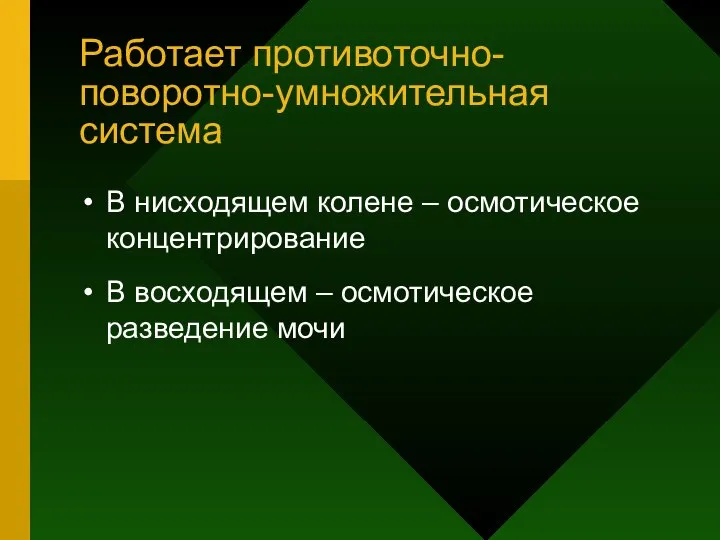 Работает противоточно-поворотно-умножительная система В нисходящем колене – осмотическое концентрирование В восходящем – осмотическое разведение мочи