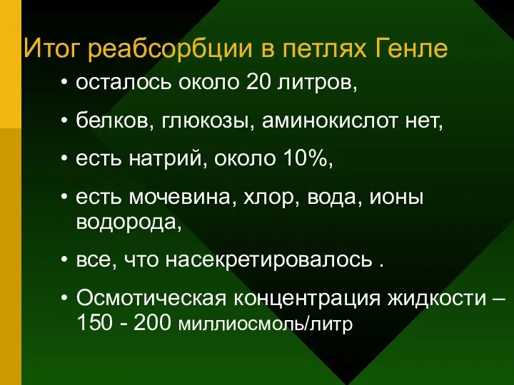 Итог реабсорбции в петлях Генле осталось около 20 литров, белков, глюкозы,