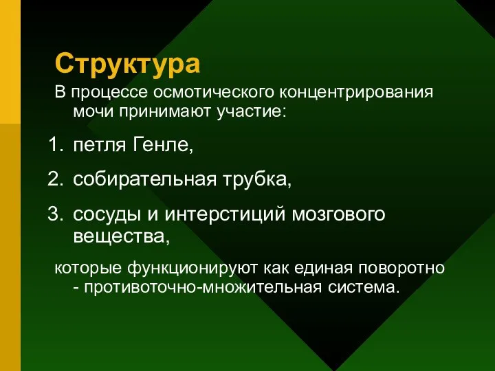 Структура В процессе осмотического концентрирования мочи принимают участие: петля Генле, собирательная