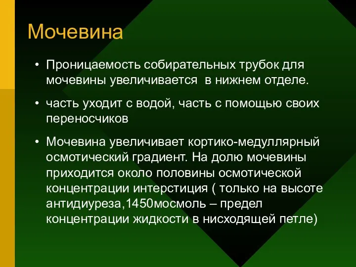 Мочевина Проницаемость собирательных трубок для мочевины увеличивается в нижнем отделе. часть